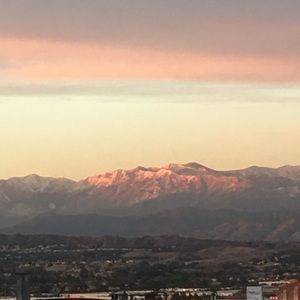 Meet your Posher, Cynthia